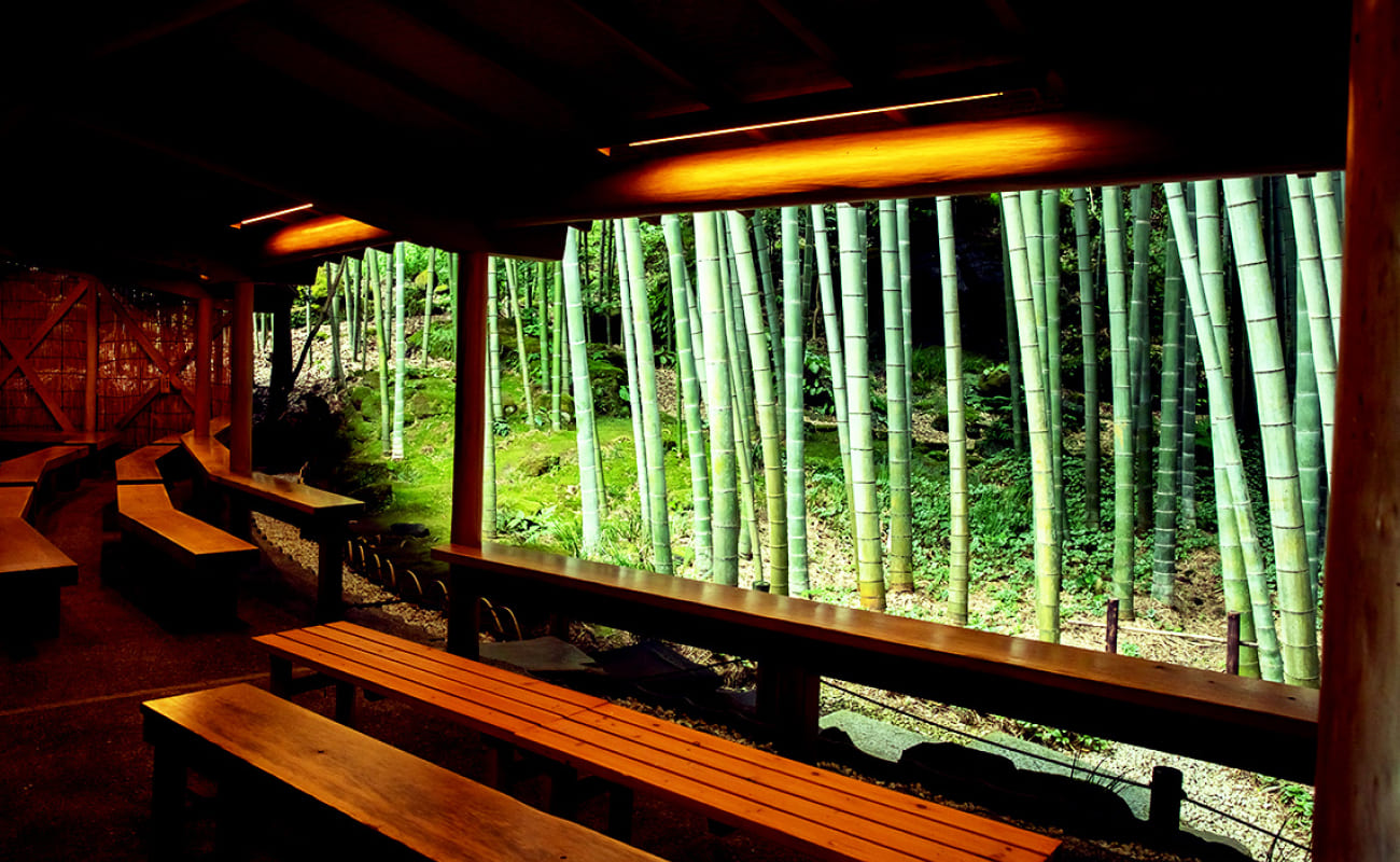 竹の庭の画像